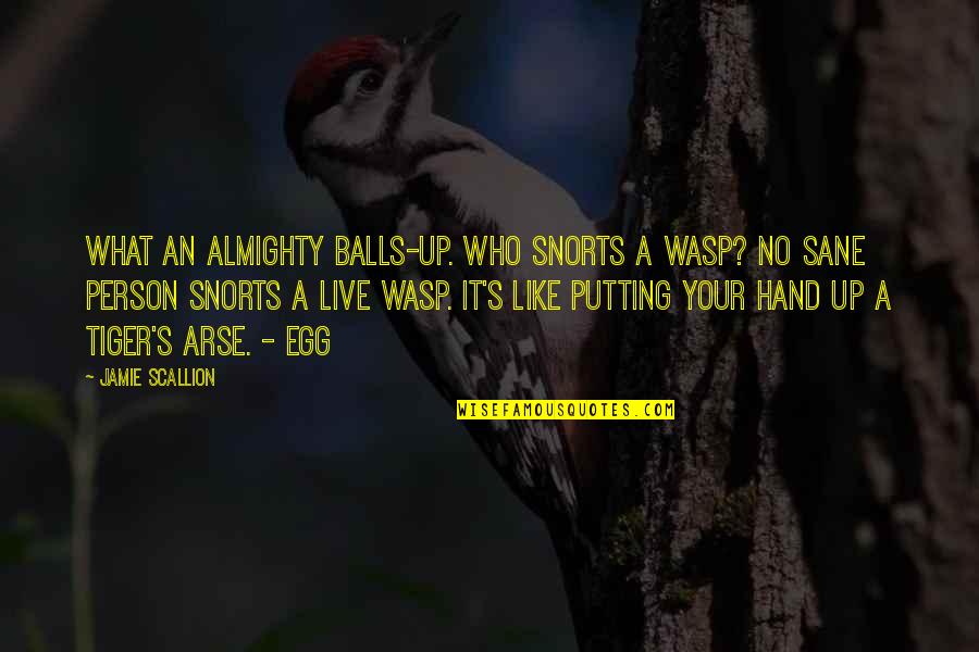 Live Like Tiger Quotes By Jamie Scallion: What an almighty balls-up. Who snorts a wasp?