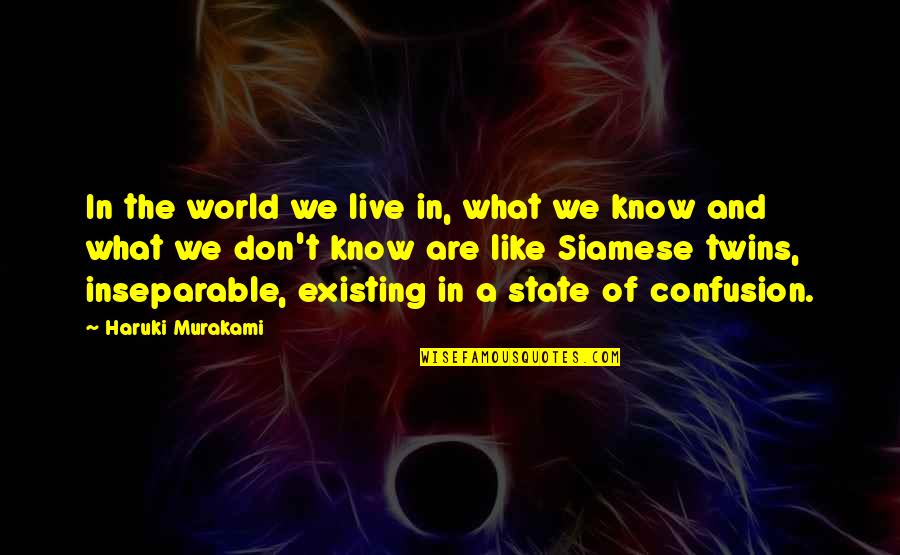 Live Like Were Quotes By Haruki Murakami: In the world we live in, what we
