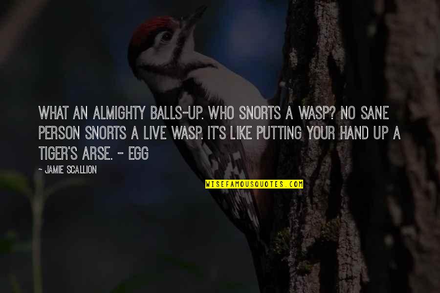 Live Like We're Young Quotes By Jamie Scallion: What an almighty balls-up. Who snorts a wasp?