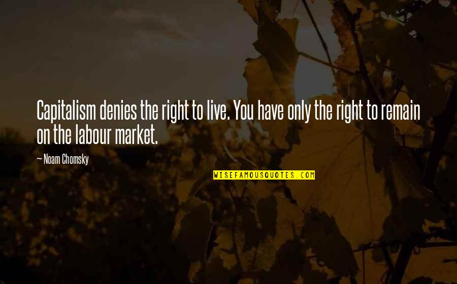 Live Market Quotes By Noam Chomsky: Capitalism denies the right to live. You have