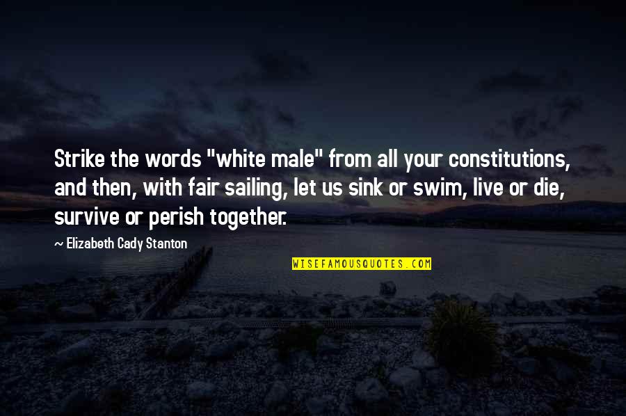 Live Or Let Die Quotes By Elizabeth Cady Stanton: Strike the words "white male" from all your