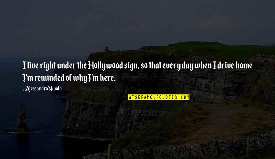 Live To Drive Quotes By Alessandro Nivola: I live right under the Hollywood sign, so