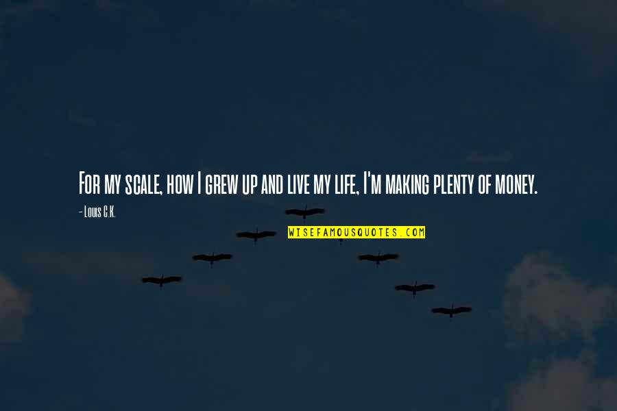 Live Up Life Quotes By Louis C.K.: For my scale, how I grew up and