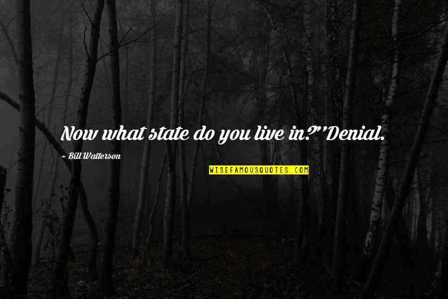 Live What You Do Quotes By Bill Watterson: Now what state do you live in?''Denial. Live What You Do Quotes By Bill Watterson: Now what state do you live in?''Denial.