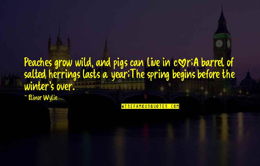 Live Wild Quotes By Elinor Wylie: Peaches grow wild, and pigs can live in