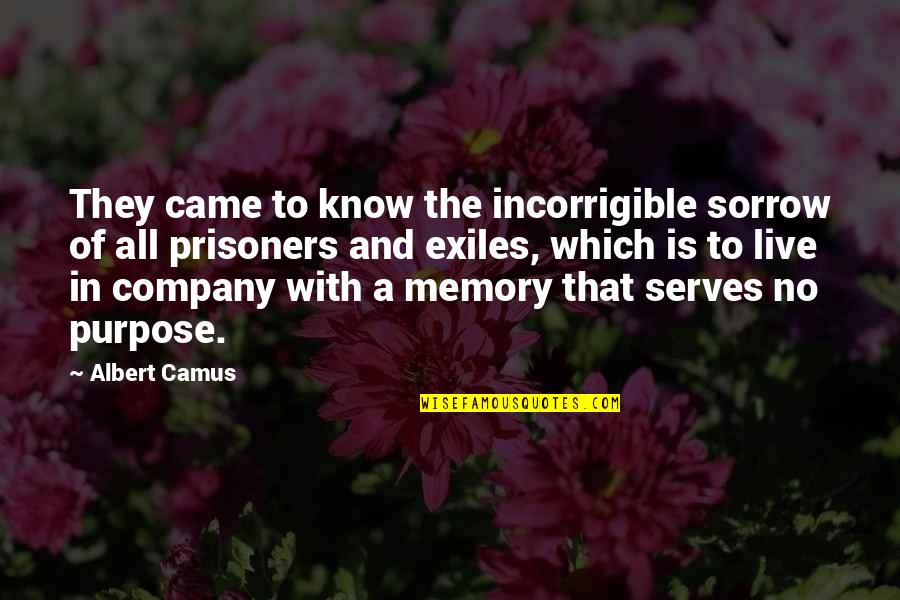 Live With A Purpose Quotes By Albert Camus: They came to know the incorrigible sorrow of