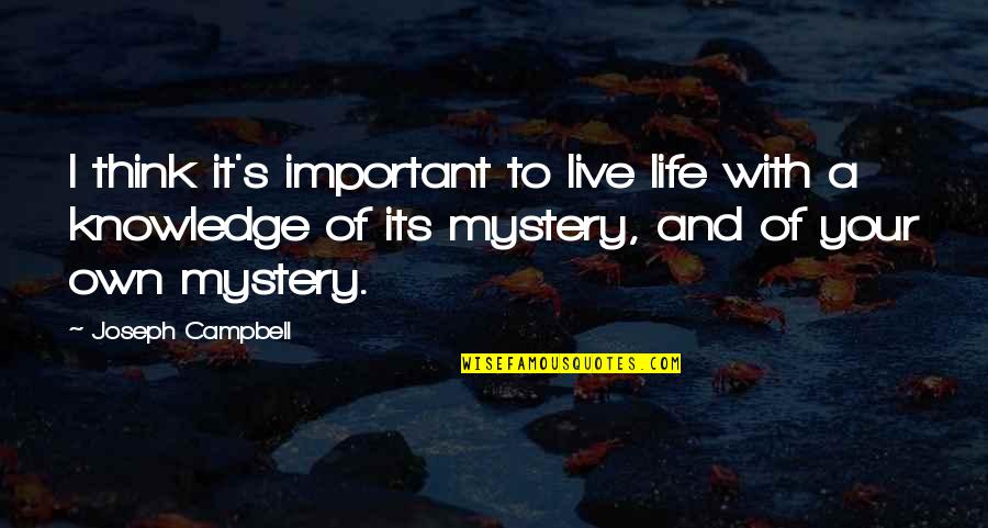Live With It Quotes By Joseph Campbell: I think it's important to live life with