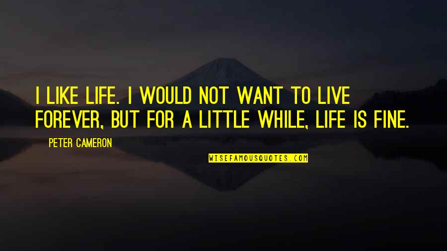 Live Your Life As You Like Quotes By Peter Cameron: I like life. I would not want to