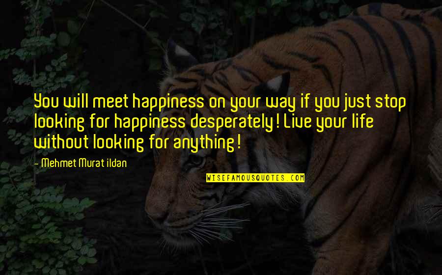 Live Your Life For You Quotes By Mehmet Murat Ildan: You will meet happiness on your way if