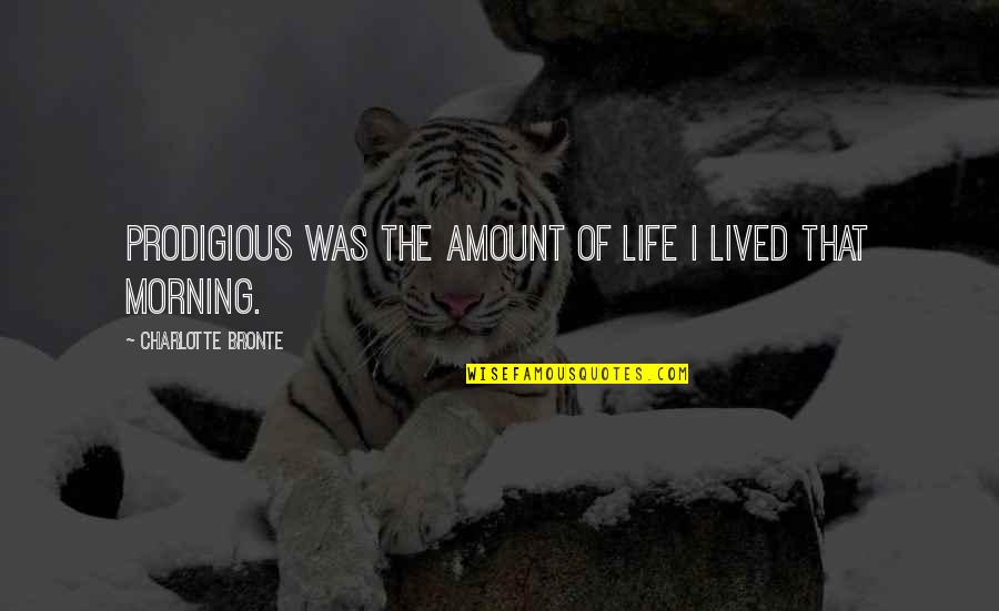 Lived Quotes By Charlotte Bronte: Prodigious was the amount of life I lived Lived Quotes By Charlotte Bronte: Prodigious was the amount of life I lived