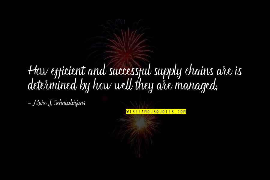 Livelier Quotes By Marc J. Schniederjans: How efficient and successful supply chains are is