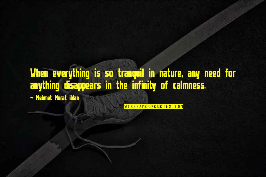 Livemondaynightraw Quotes By Mehmet Murat Ildan: When everything is so tranquil in nature, any