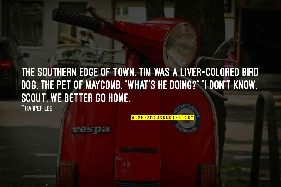 Liver's Quotes By Harper Lee: The southern edge of town. Tim was a Liver's Quotes By Harper Lee: The southern edge of town. Tim was a