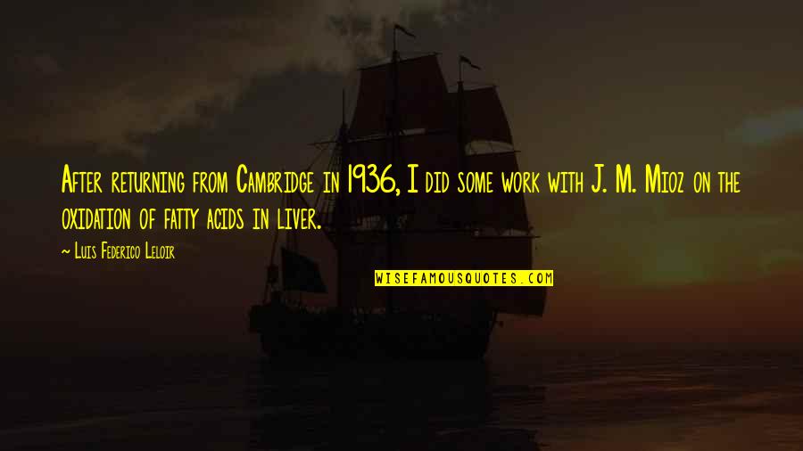 Liver's Quotes By Luis Federico Leloir: After returning from Cambridge in 1936, I did Liver's Quotes By Luis Federico Leloir: After returning from Cambridge in 1936, I did