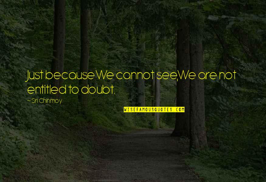 Livery Cab Quotes By Sri Chinmoy: Just becauseWe cannot see,We are not entitled to