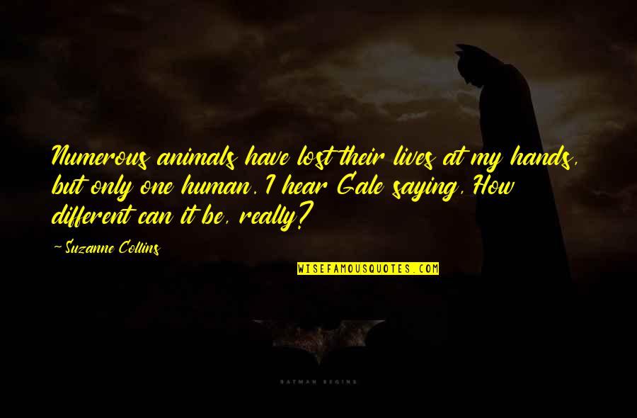 Lives Lost Quotes By Suzanne Collins: Numerous animals have lost their lives at my