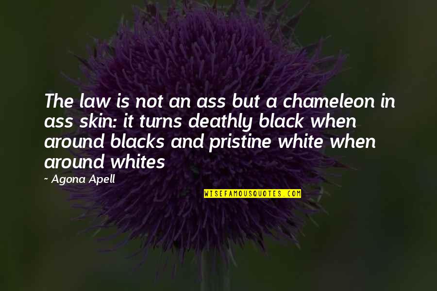 Lives Matter Quotes By Agona Apell: The law is not an ass but a