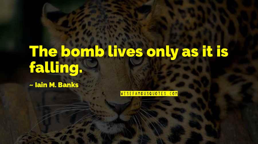 Lives Not Falling Quotes By Iain M. Banks: The bomb lives only as it is falling.
