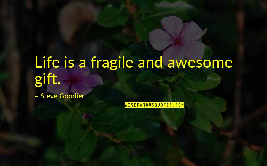 Living An Awesome Life Quotes By Steve Goodier: Life is a fragile and awesome gift.