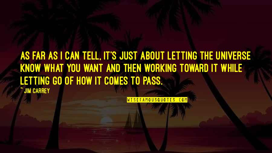 Living And Letting Go Quotes By Jim Carrey: As far as I can tell, it's just