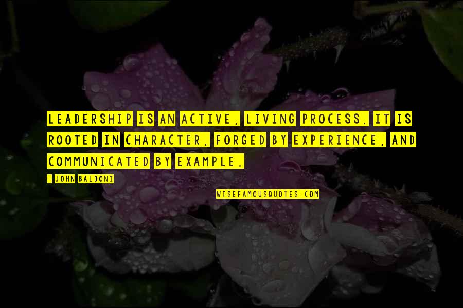 Living As An Example Quotes By John Baldoni: Leadership is an active, living process. It is