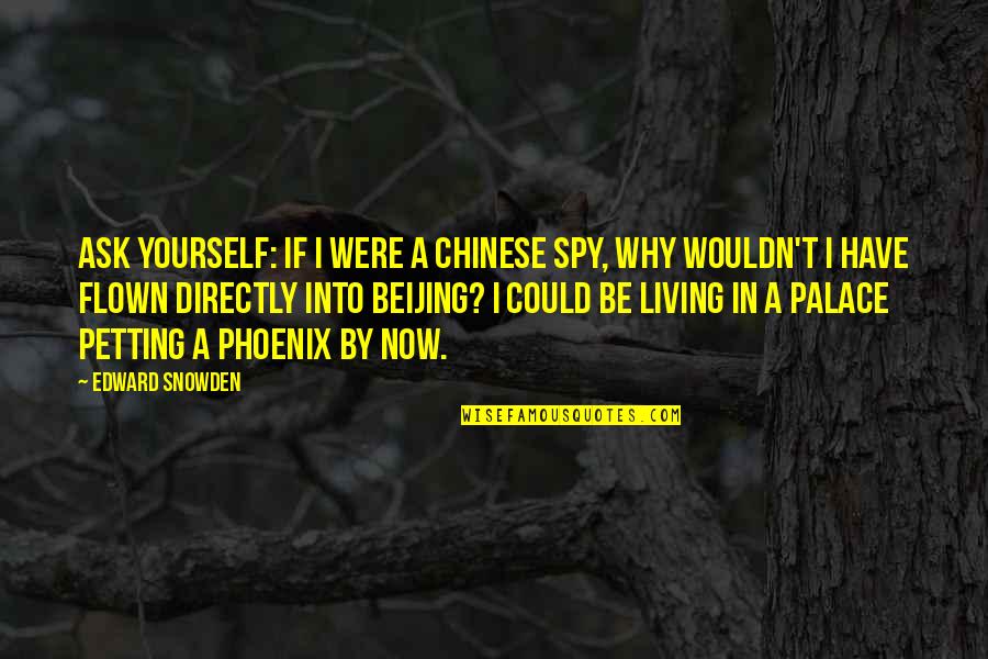 Living By Yourself Quotes By Edward Snowden: Ask yourself: if I were a Chinese spy,