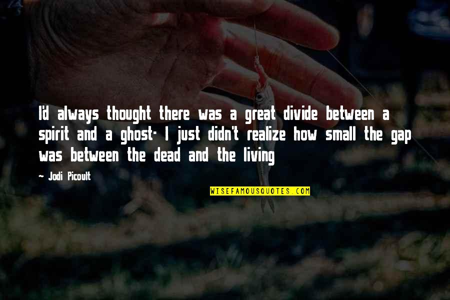 Living Great Quotes By Jodi Picoult: I'd always thought there was a great divide