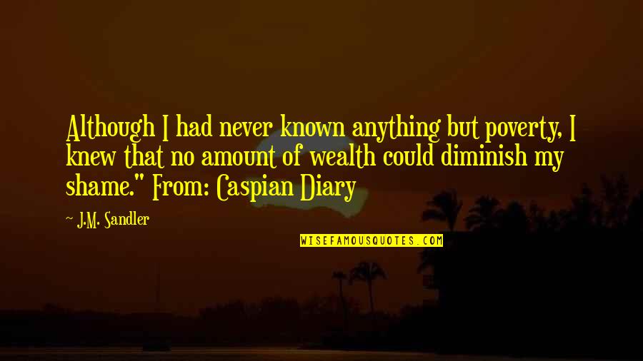 Living In A World So Cold Quotes By J.M. Sandler: Although I had never known anything but poverty,