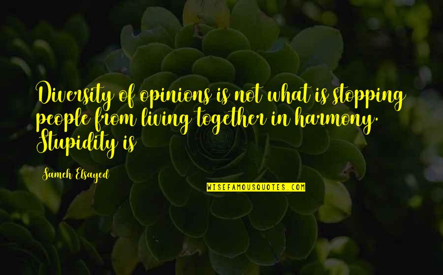 Living In Harmony Quotes By Sameh Elsayed: Diversity of opinions is not what is stopping