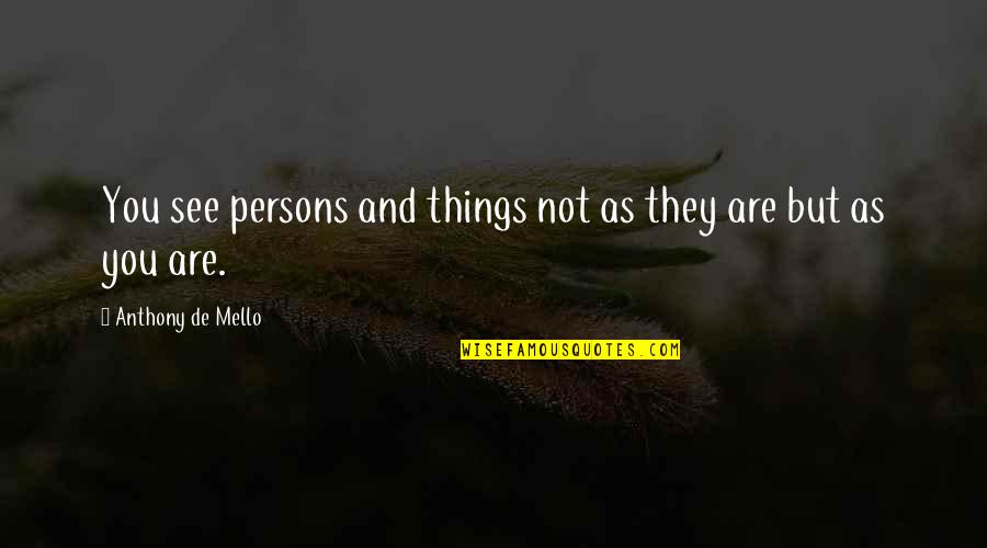 Living In Hostel Quotes By Anthony De Mello: You see persons and things not as they