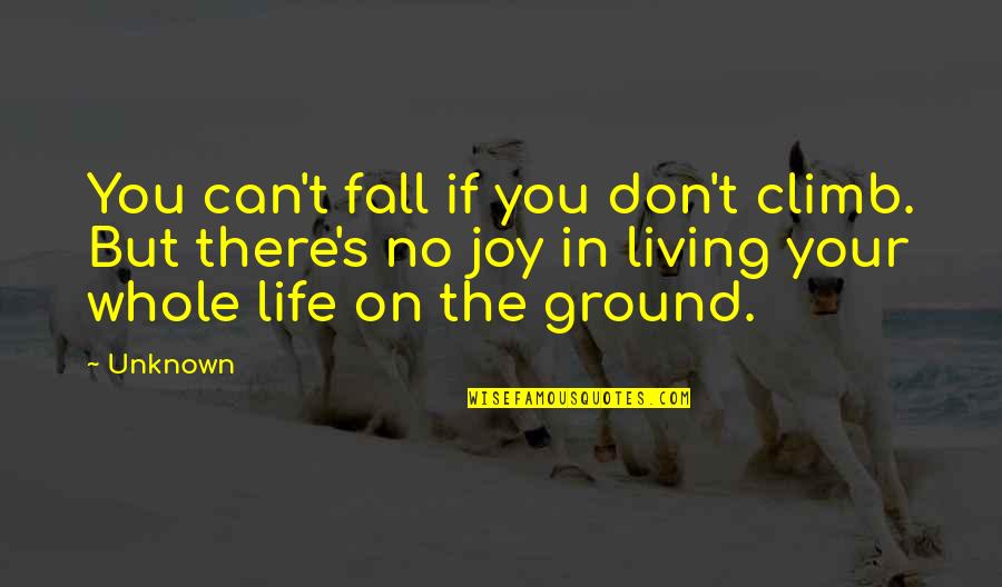 Living In Life Quotes By Unknown: You can't fall if you don't climb. But