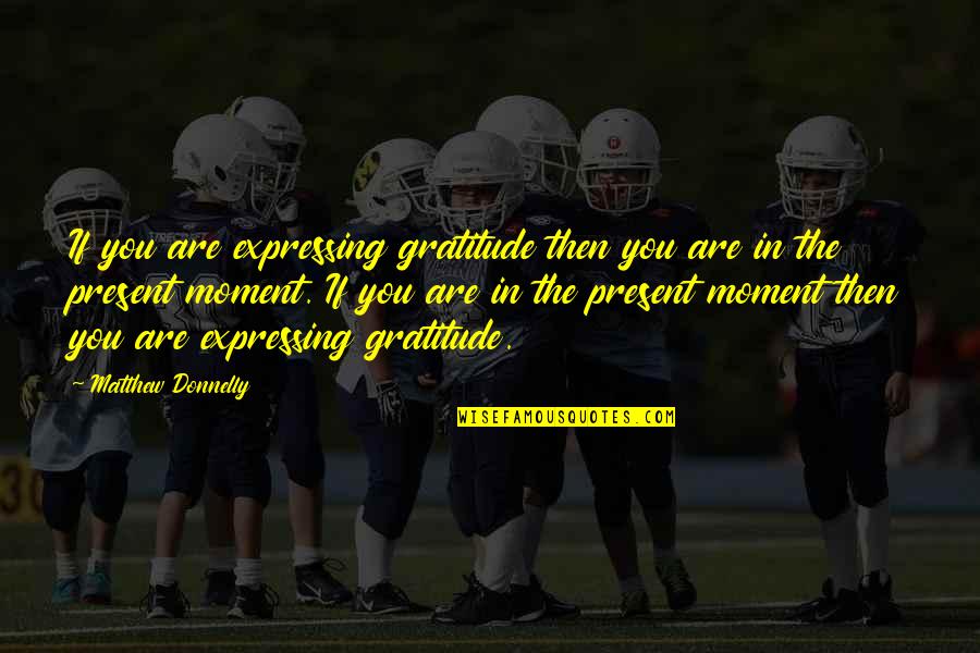 Living In Moment Quotes By Matthew Donnelly: If you are expressing gratitude then you are