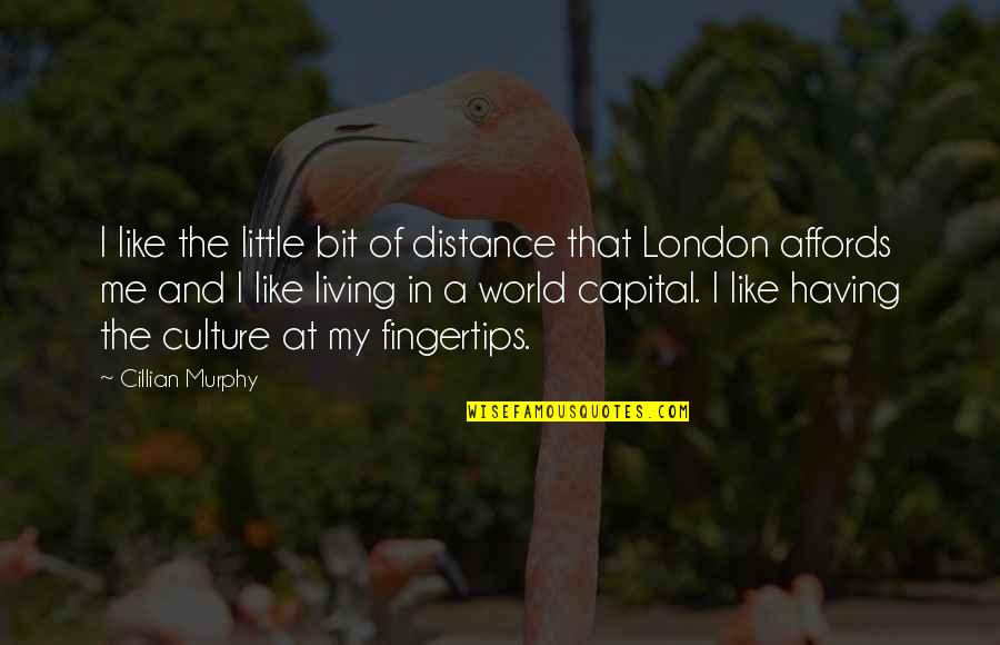 Living In My Own Little World Quotes By Cillian Murphy: I like the little bit of distance that