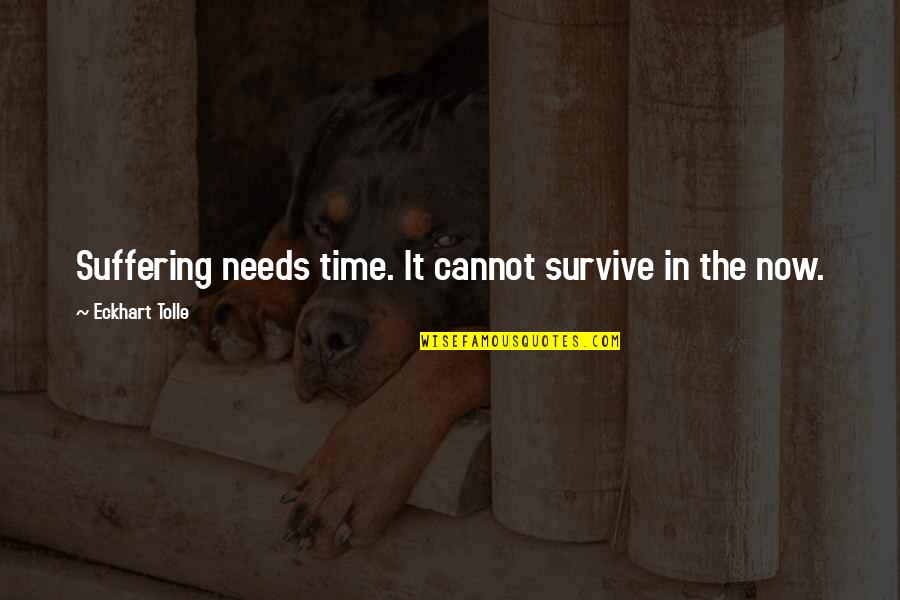 Living In The Now Quotes By Eckhart Tolle: Suffering needs time. It cannot survive in the