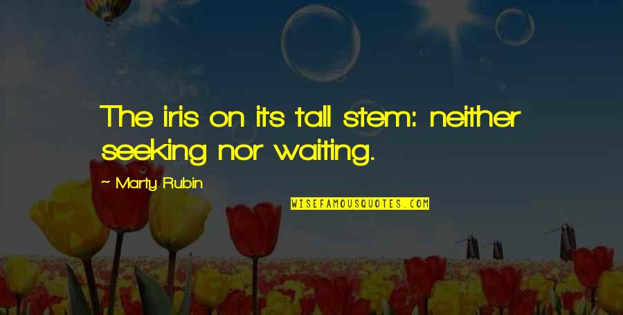 Living In The Now Quotes By Marty Rubin: The iris on its tall stem: neither seeking