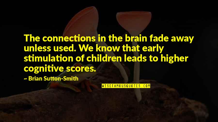 Living Life Before It's Too Late Quotes By Brian Sutton-Smith: The connections in the brain fade away unless