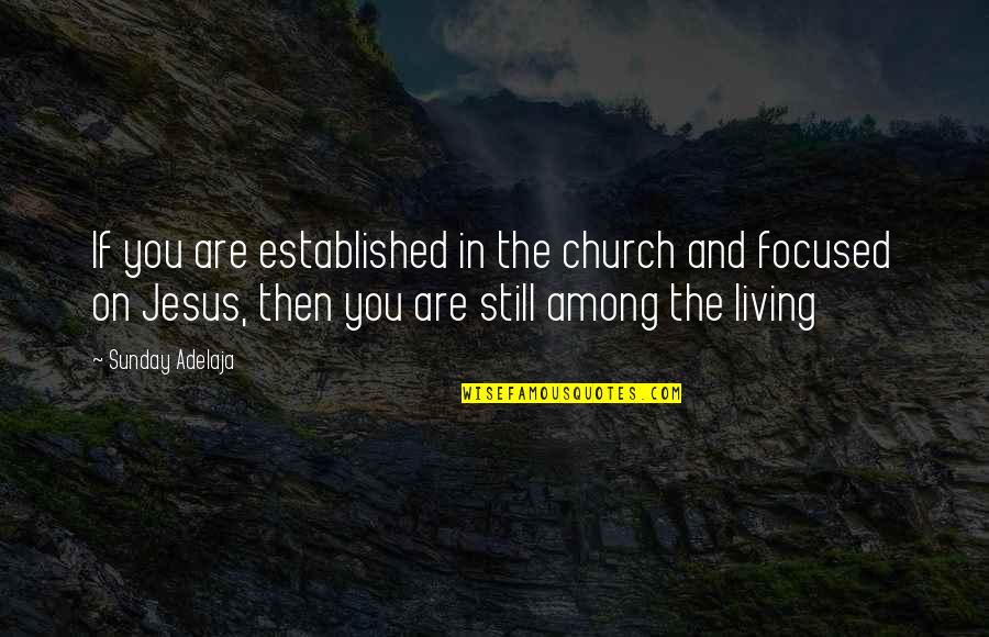 Living Life For Jesus Quotes By Sunday Adelaja: If you are established in the church and