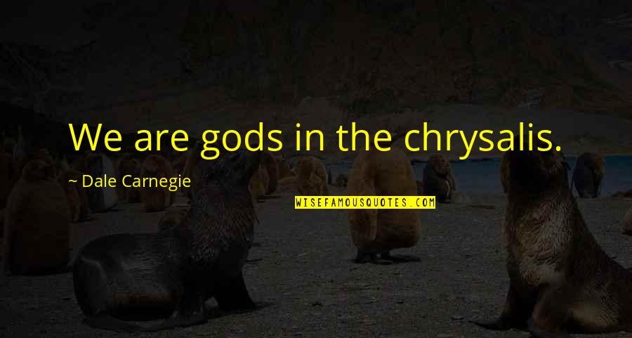 Living Life On The Edge Funny Quotes By Dale Carnegie: We are gods in the chrysalis.