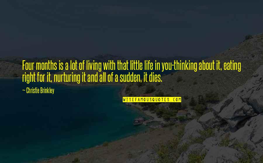 Living Life Right Quotes By Christie Brinkley: Four months is a lot of living with