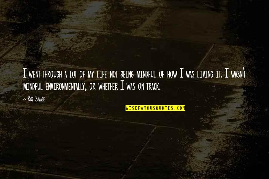 Living My Life Quotes By Roz Savage: I went through a lot of my life