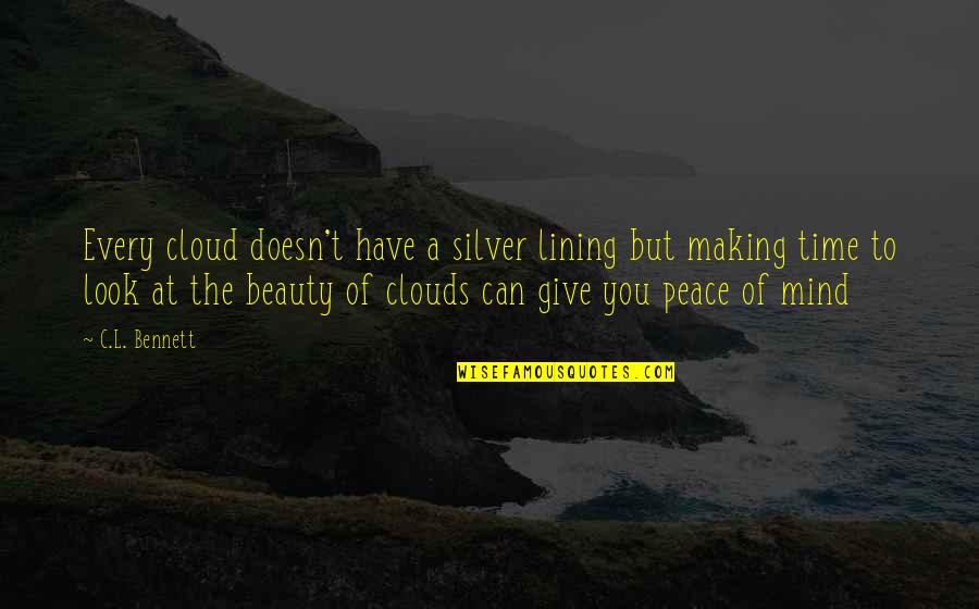 Living The Life You Have Quotes By C.L. Bennett: Every cloud doesn't have a silver lining but