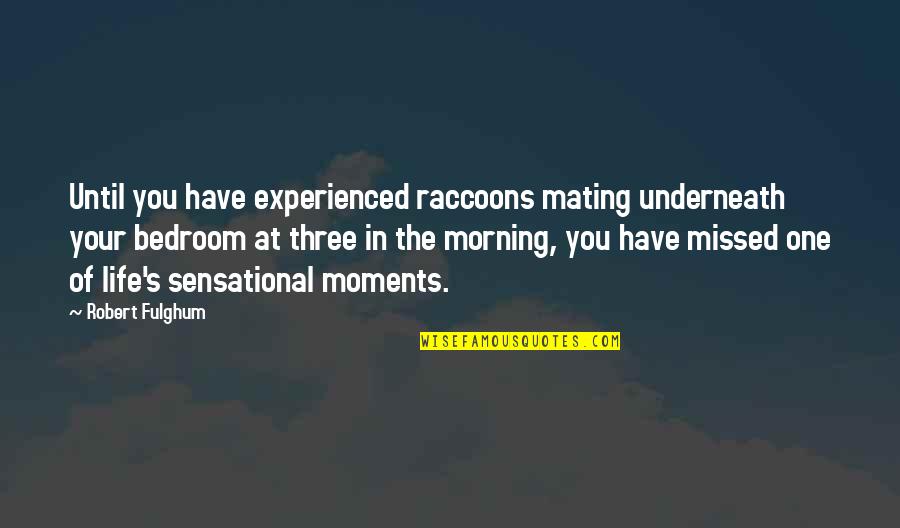 Living The Life You Have Quotes By Robert Fulghum: Until you have experienced raccoons mating underneath your