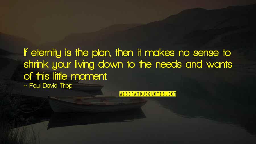 Living The Moment Quotes By Paul David Tripp: If eternity is the plan, then it makes