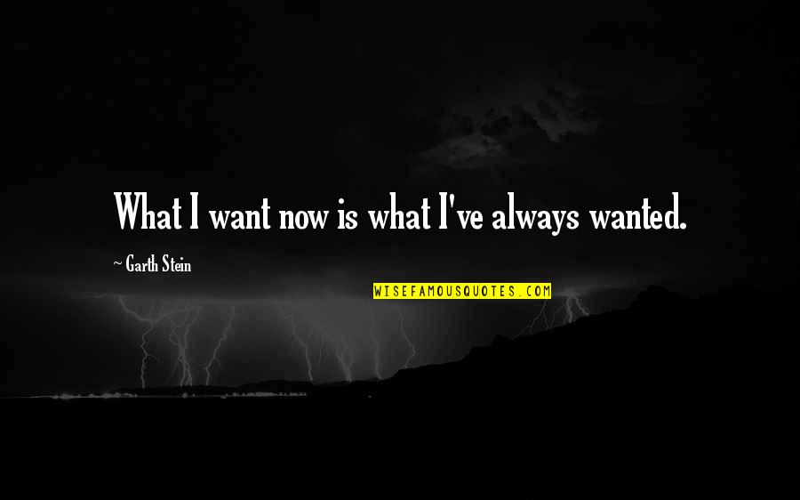 Living Through God Quotes By Garth Stein: What I want now is what I've always