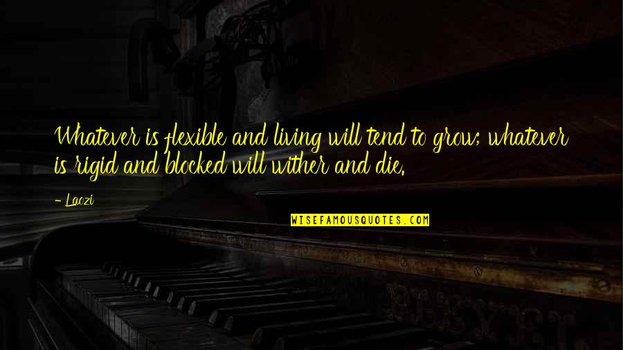 Living To Die Quotes By Laozi: Whatever is flexible and living will tend to