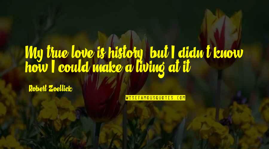 Living True Quotes By Robert Zoellick: My true love is history, but I didn't