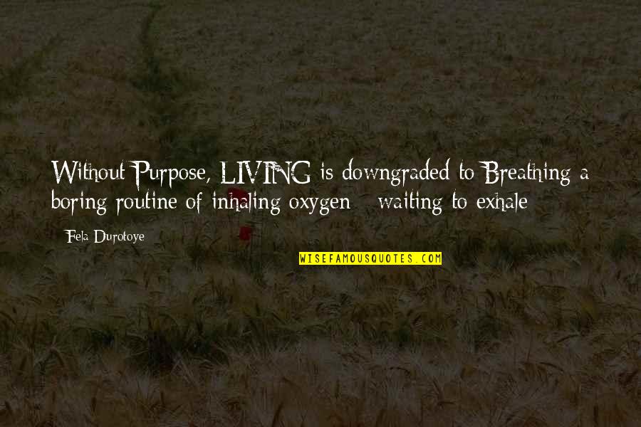 Living Without Purpose Quotes By Fela Durotoye: Without Purpose, LIVING is downgraded to Breathing a
