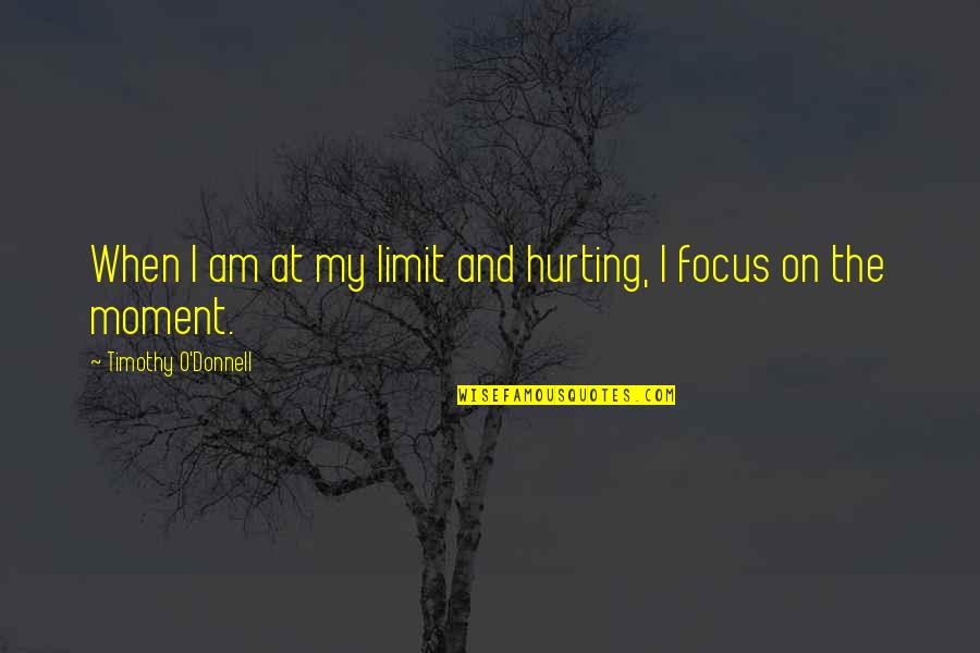 Livinia Nixon Quotes By Timothy O'Donnell: When I am at my limit and hurting,