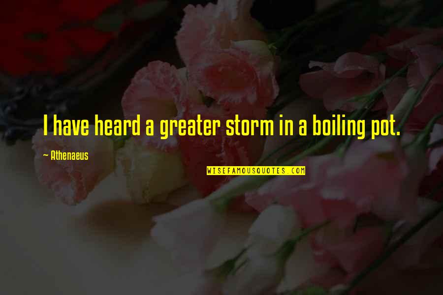 Liviu Librescu Quotes By Athenaeus: I have heard a greater storm in a Liviu Librescu Quotes By Athenaeus: I have heard a greater storm in a
