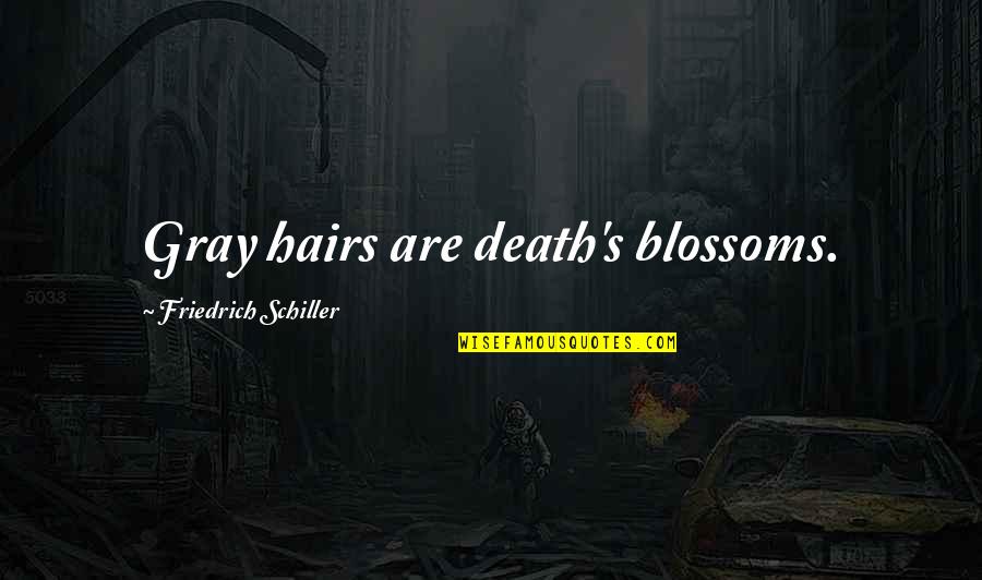 Livvie Caligiuri Quotes By Friedrich Schiller: Gray hairs are death's blossoms.